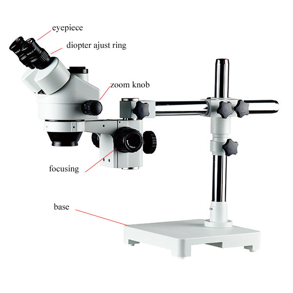 zoom microscope