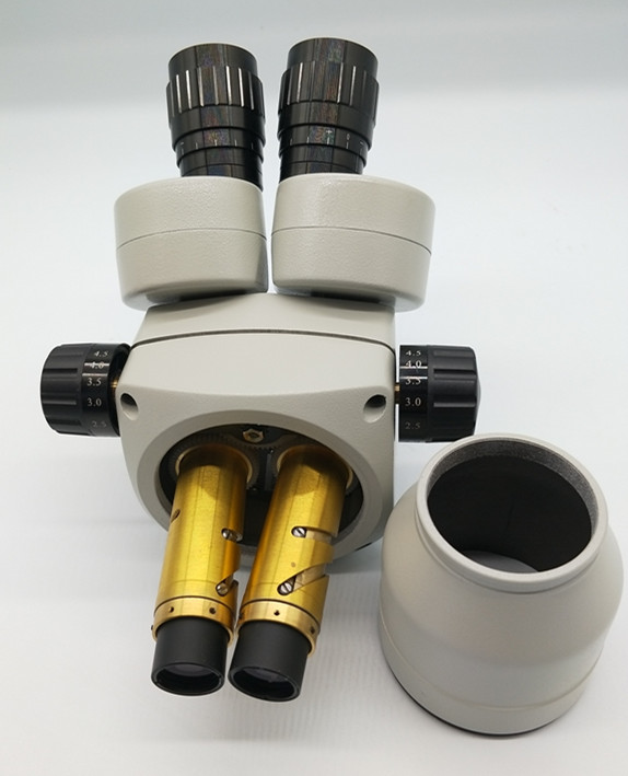 microcope head lens