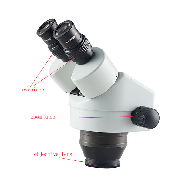 zoo microscope