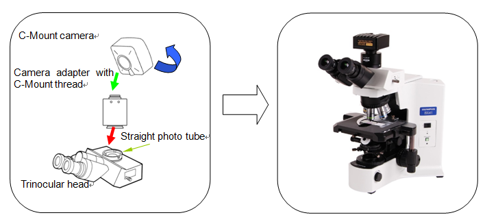 microscope cameras