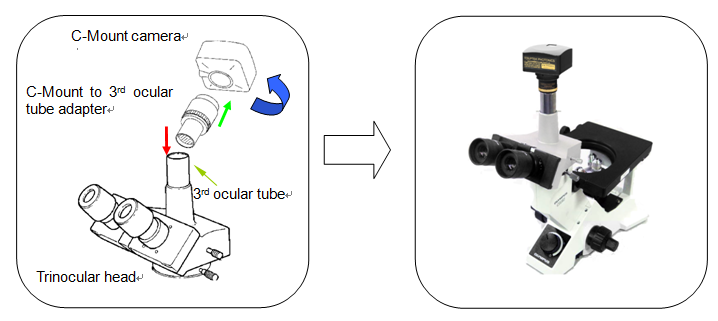 microscope cameras