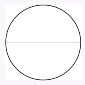 single line micrometer eyepiece reticle horizontal  graticule