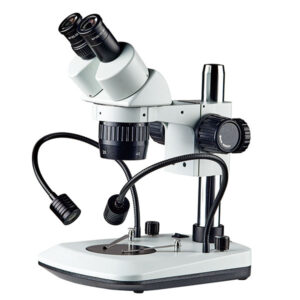 stereo microscope low power